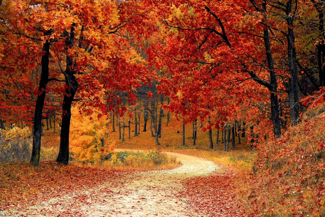 Autumn’s beautiful scenery makes it a great time of year to exercise outdoors 